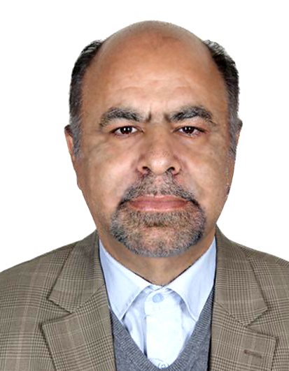 Prof. Fereidoon Moghaddas Nejad