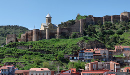 Narikala Image